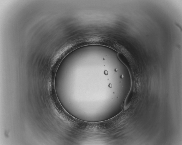 X0000102250728200808011310