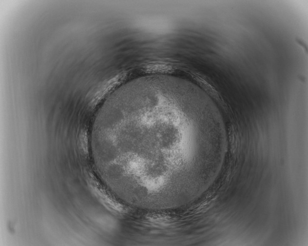 X0000102250729200808011310