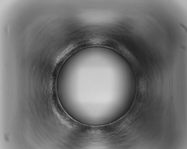 X0000102250730200808011310