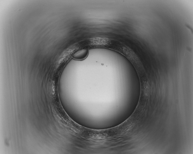 X0000102250731200808011310