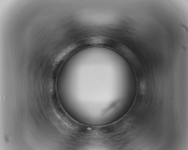 X0000102250732200808011310