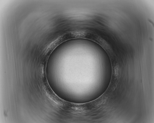 X0000102250733200808011310