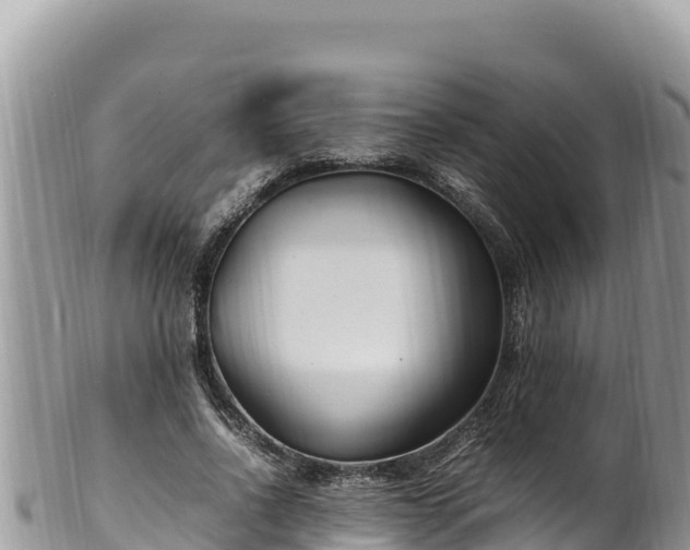 X0000102250734200808011310