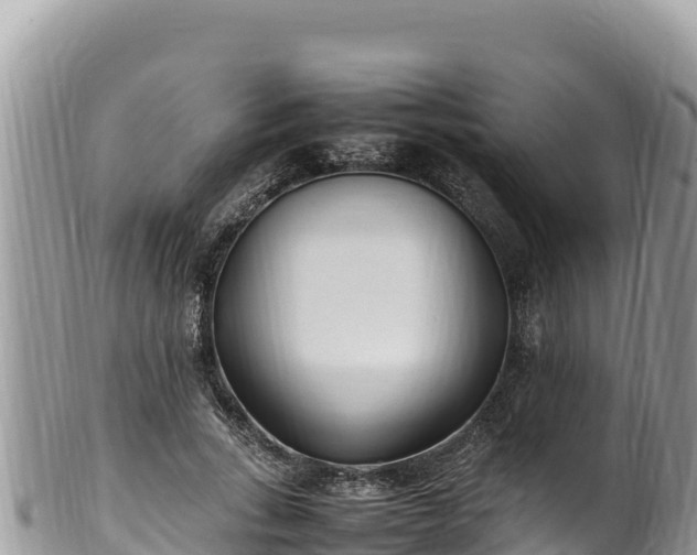 X0000102250735200808011310