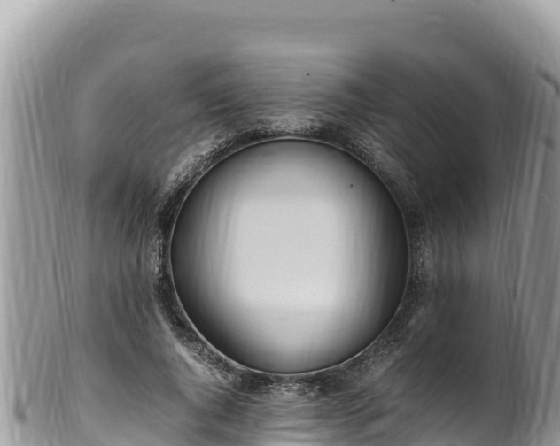 X0000102250736200808011310