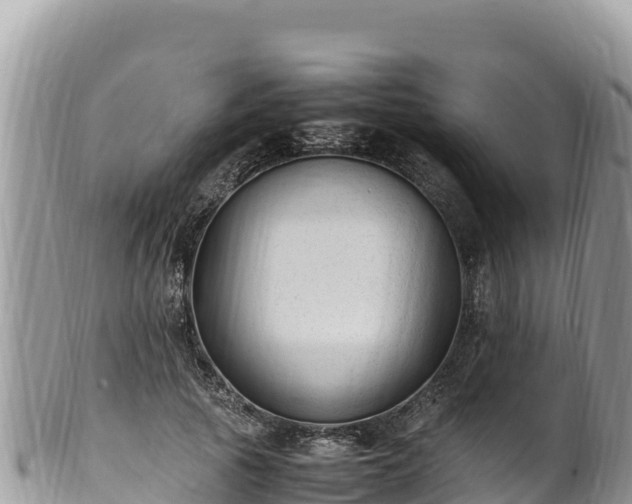 X0000102250737200808011310