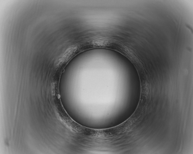 X0000102250738200808011310