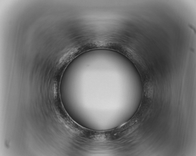 X0000102250740200808011310