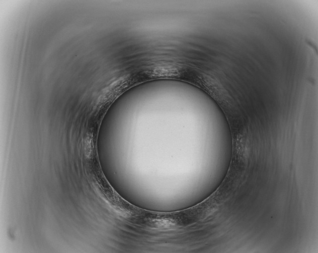 X0000102250741200808011310