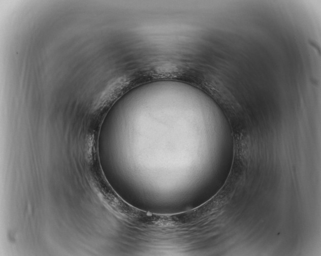 X0000102250742200808011310