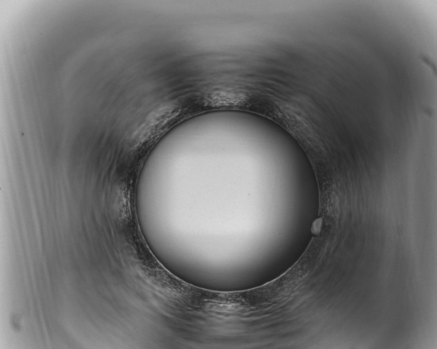 X0000102250743200808011310