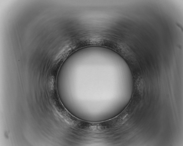 X0000102250744200808011310