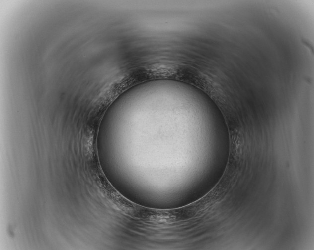 X0000102250745200808011310