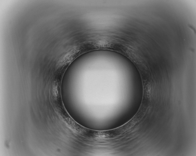 X0000102250746200808011310