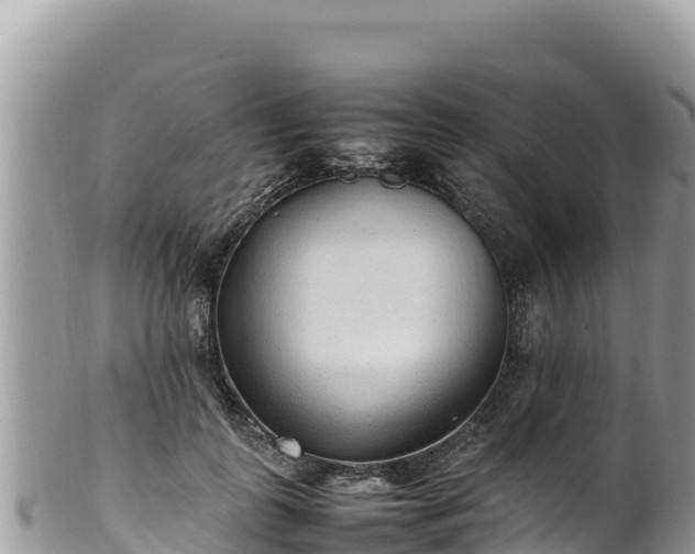 X0000102250747200808011310