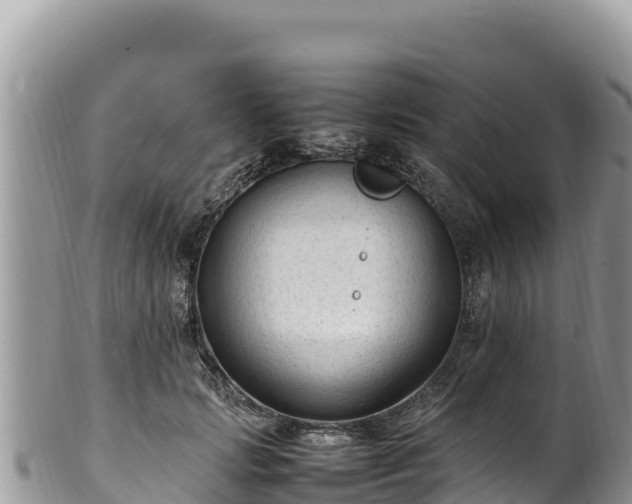 X0000102250749200808011310