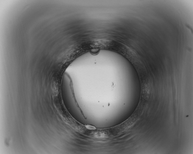 X0000102250751200808011310