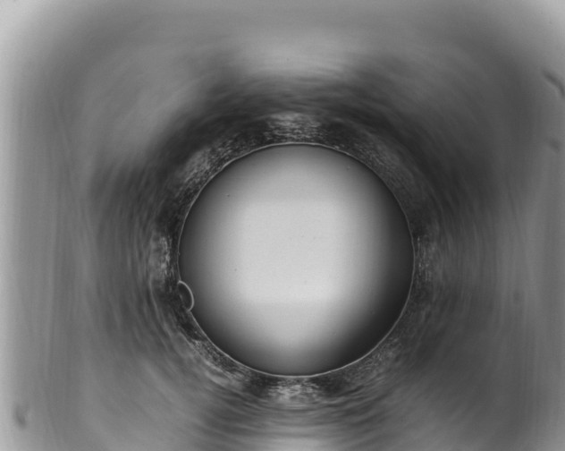 X0000102250752200808011310