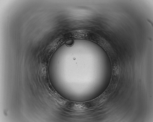 X0000102250753200808011310