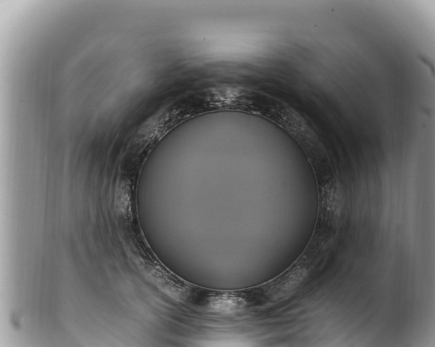 X0000102250754200808011310