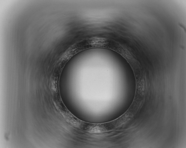 X0000102250755200808011310