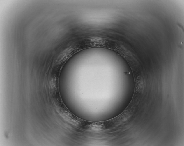 X0000102250756200808011310