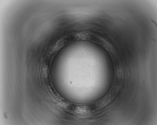 X0000102250757200808011310