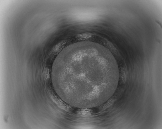 X0000102250758200808011310