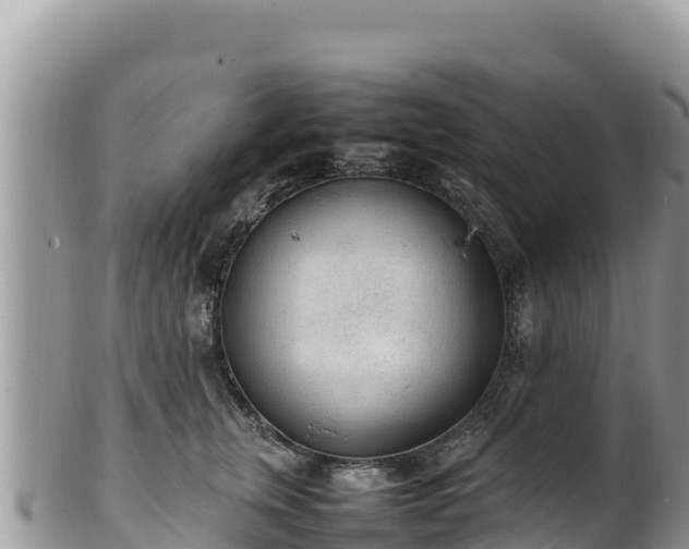 X0000102250759200808011310