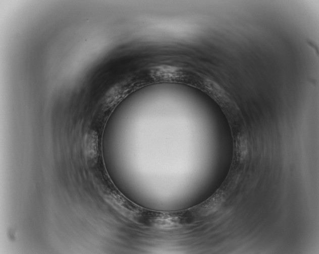 X0000102250760200808011310