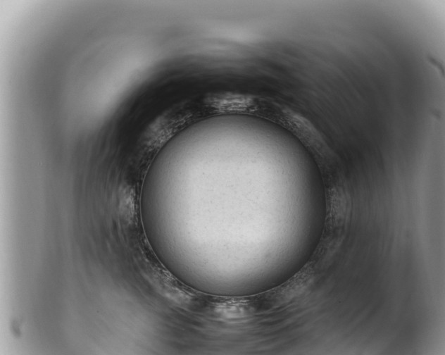 X0000102250761200808011310