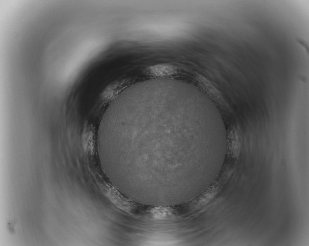 X0000102250762200808011310