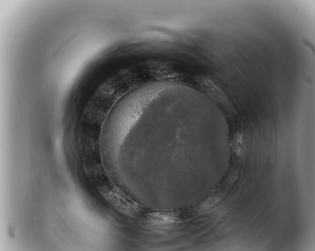 X0000102250763200808011310