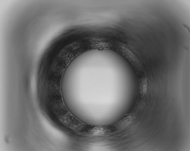 X0000102250764200808011311