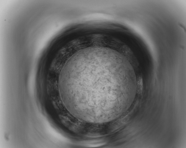 X0000102250765200808011311