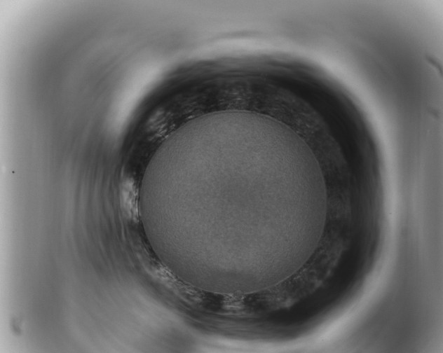 X0000102250766200808011311