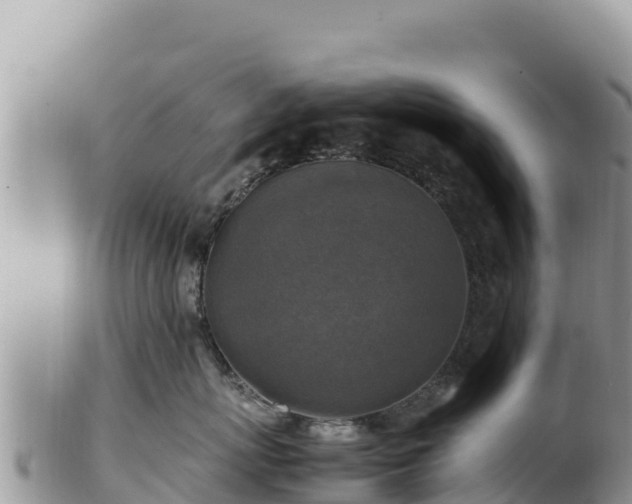 X0000102250767200808011311