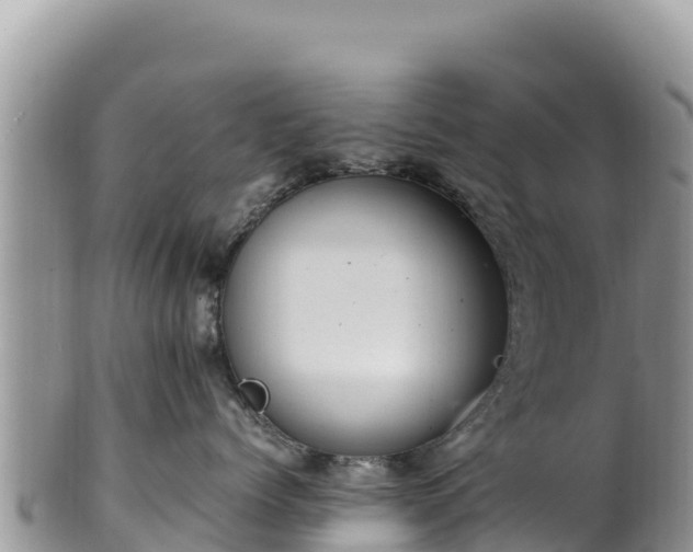 X0000102250768200808011311