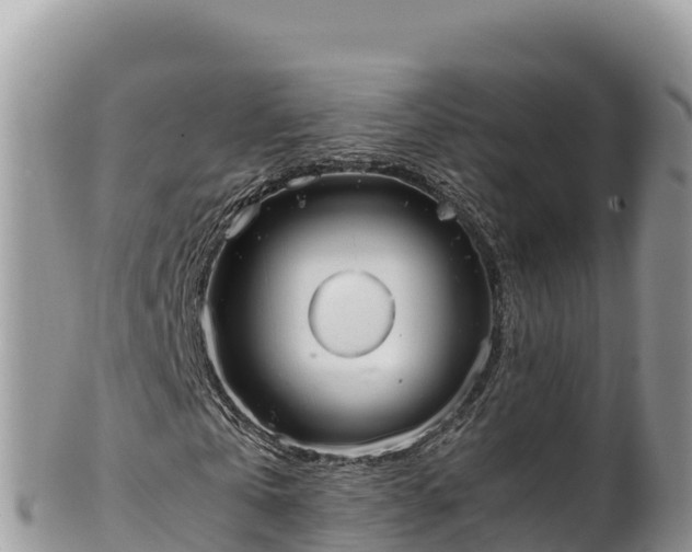 X0000102250769200808011310