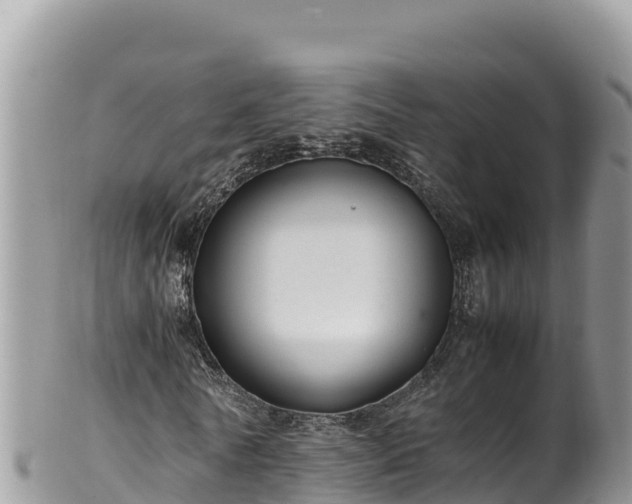 X0000102250770200808011310