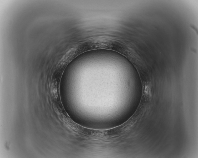 X0000102250771200808011310