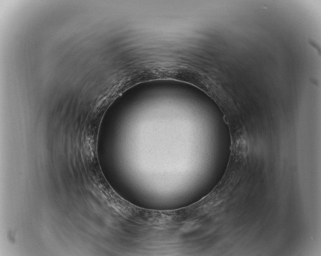 X0000102250772200808011310