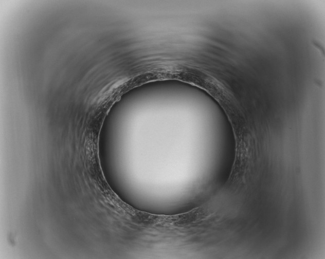 X0000102250773200808011310