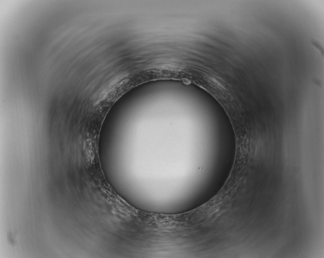 X0000102250774200808011310