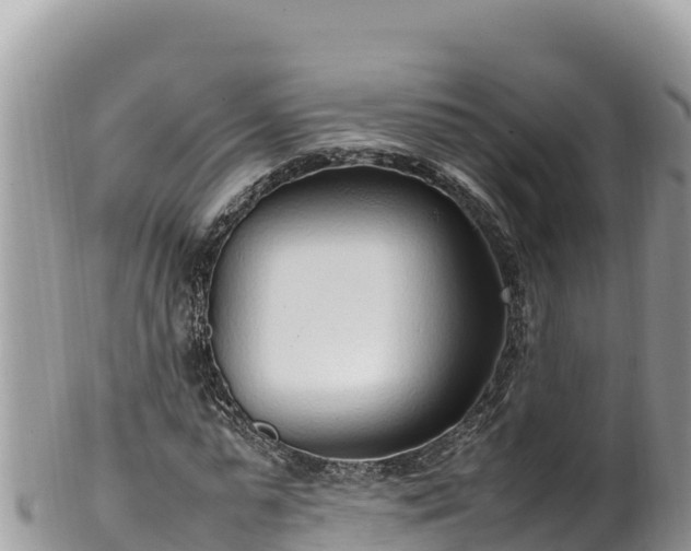 X0000102250775200808011310