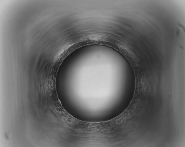 X0000102250776200808011310