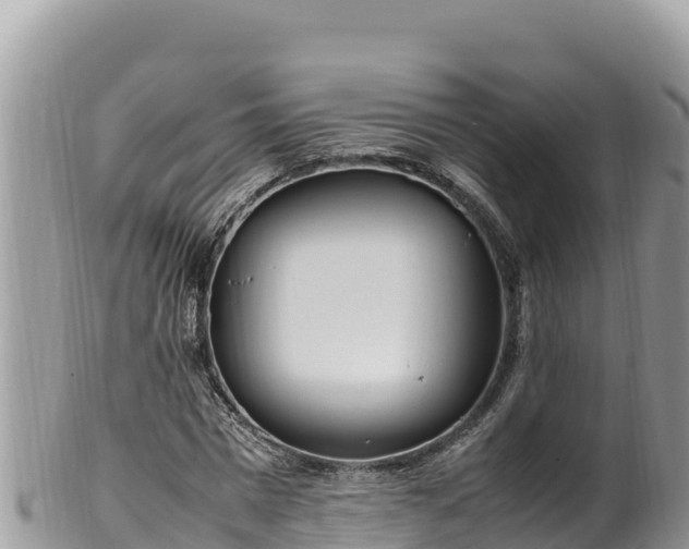 X0000102250777200808011310