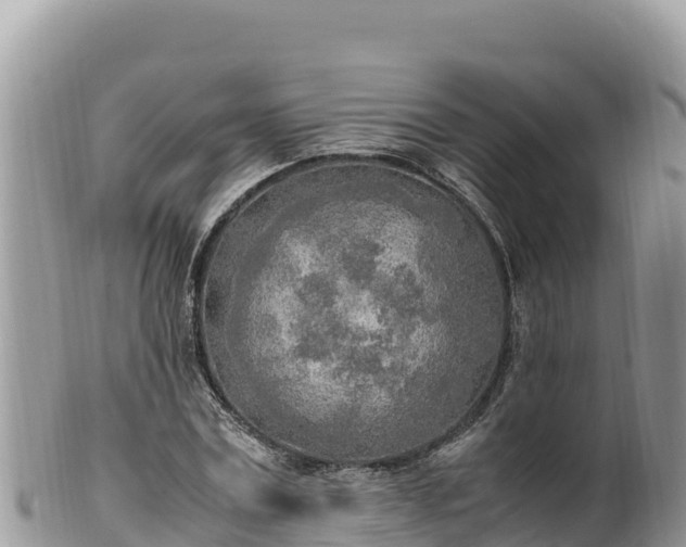 X0000102250779200808011310