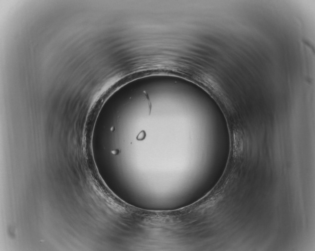 X0000102250780200808011310