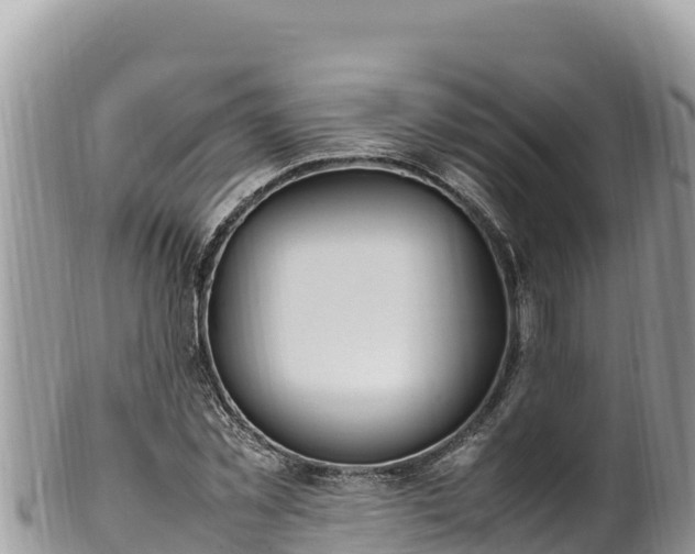 X0000102250781200808011310